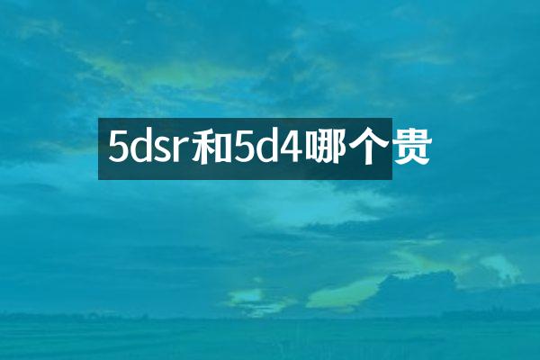 5dsr和5d4哪个贵