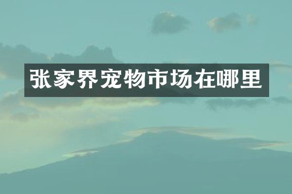 张家界宠物市场在哪里