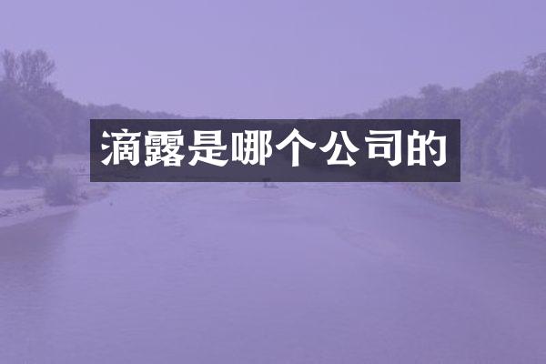 滴露是哪个公司的