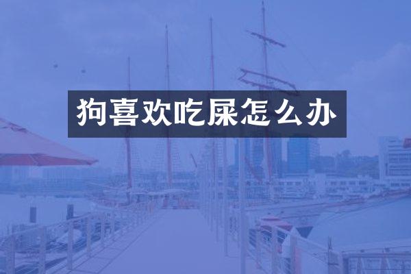 狗喜欢吃屎怎么办