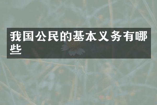我国公民的基本义务有哪些