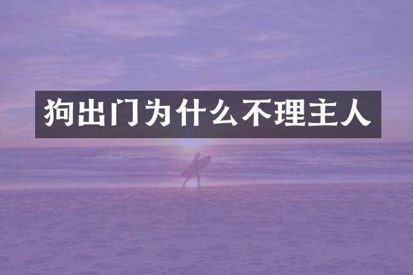 狗出门为什么不理主人