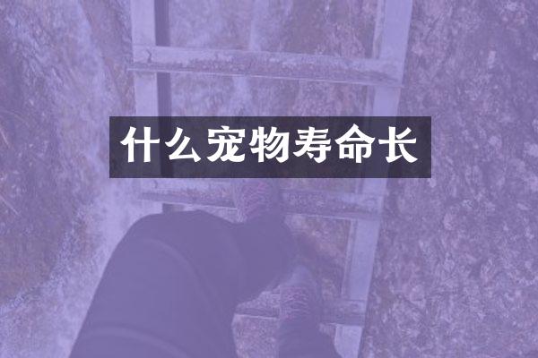 什么宠物寿命长