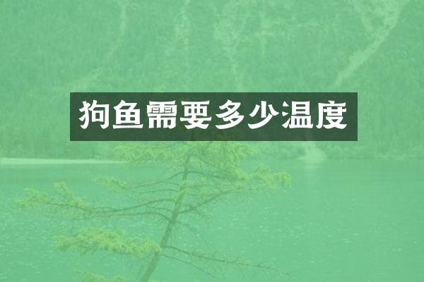 狗鱼需要多少温度