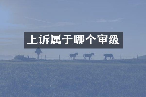 上诉属于哪个审级