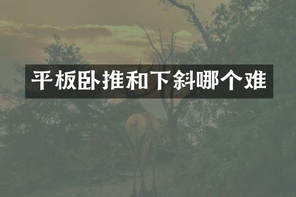 平板卧推和下斜哪个难