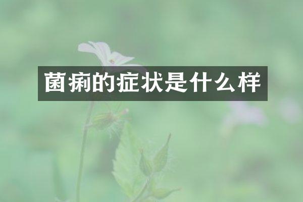 菌痢的症状是什么样