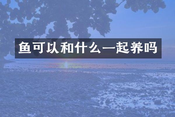 鱼可以和什么一起养吗
