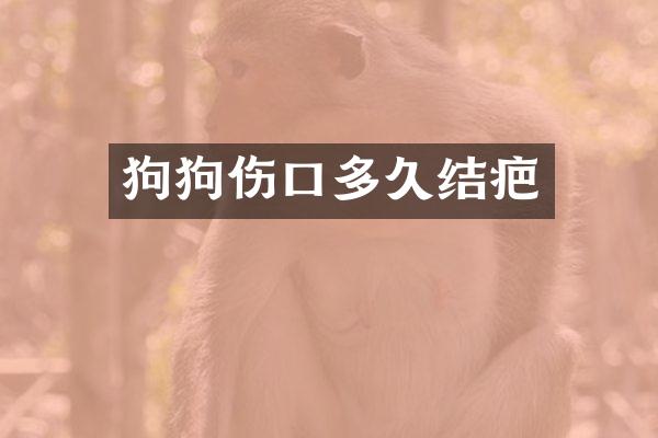 狗狗伤口多久结疤
