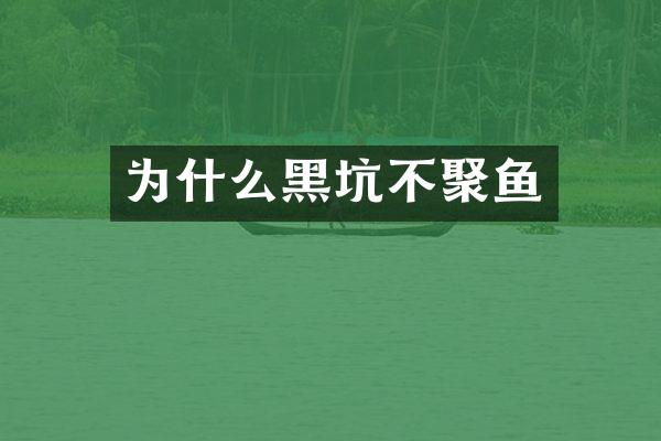 为什么黑坑不聚鱼
