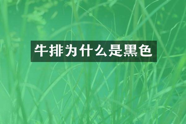 牛排为什么是黑色