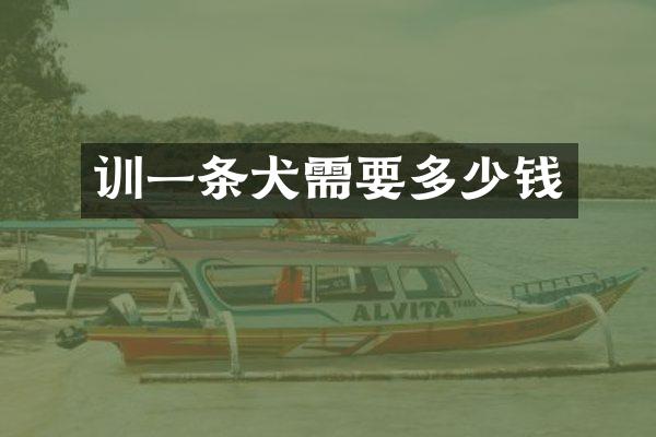 训一条犬需要多少钱