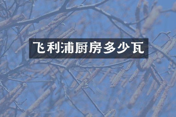 飞利浦厨房多少瓦