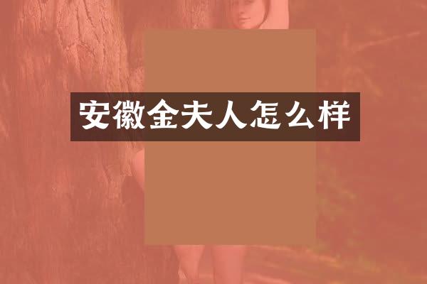 安徽金夫人怎么样