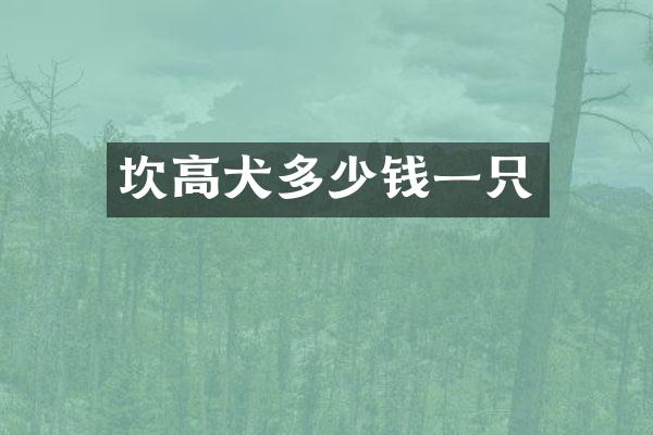坎高犬多少钱一只