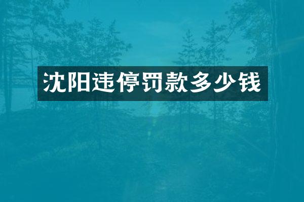 沈阳违停罚款多少钱
