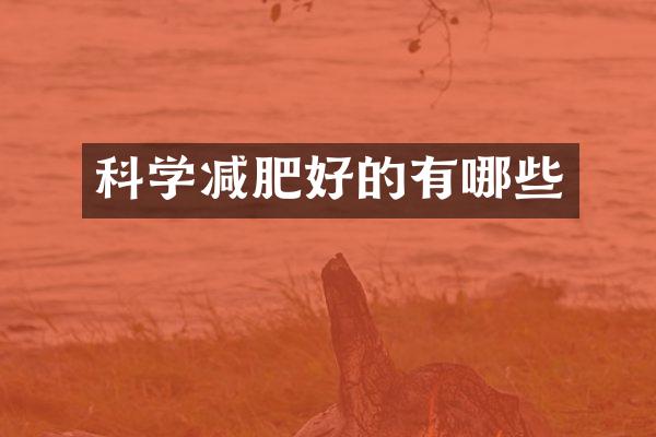 科学减肥好的有哪些