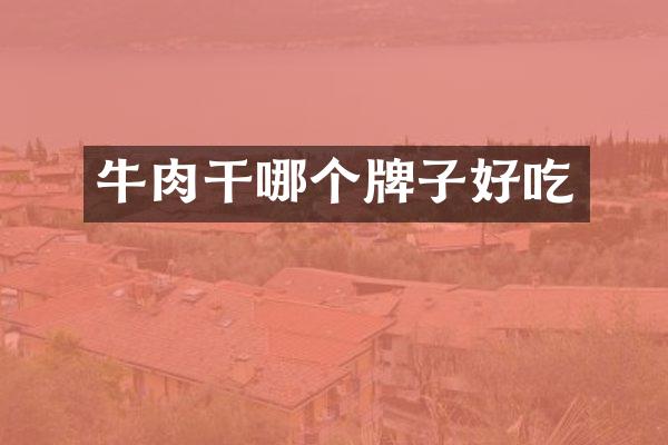 牛肉干哪个牌子好吃