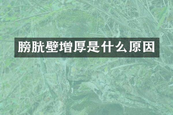 膀胱壁增厚是什么原因