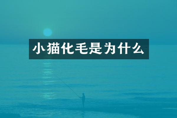 小猫化毛是为什么