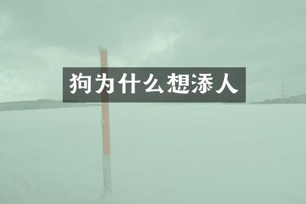 狗为什么想添人