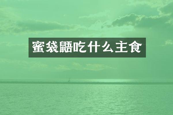 蜜袋鼯吃什么主食