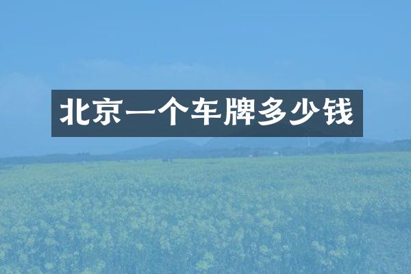 北京一个车牌多少钱