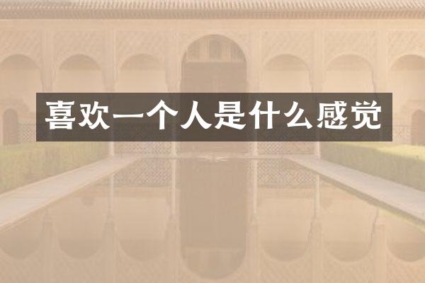 喜欢一个人是什么感觉