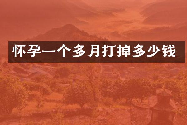 怀孕一个多月打掉多少钱