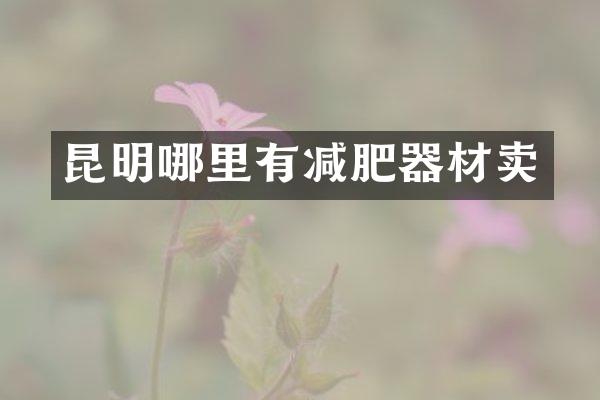 昆明哪里有减肥器材卖