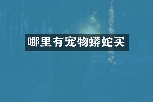 哪里有宠物蟒蛇买