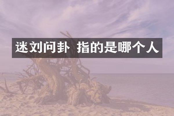 迷刘问卦 指的是哪个人