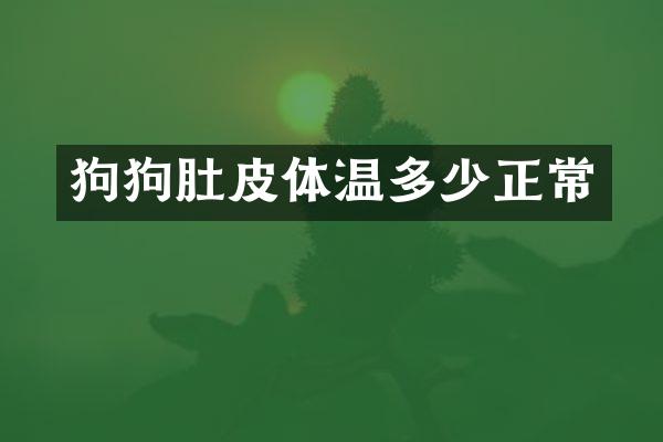 狗狗肚皮体温多少正常