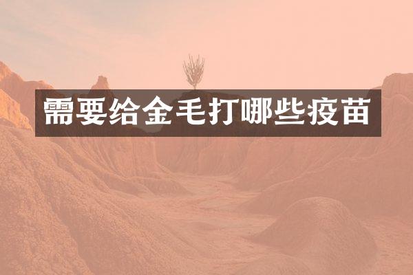 需要给金毛打哪些疫苗