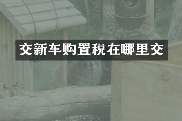 交新车购置税在哪里交