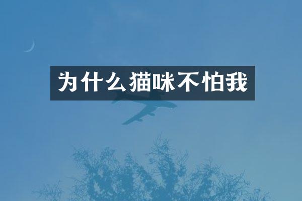 为什么猫咪不怕我