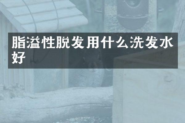 脂溢性脱发用什么洗发水好
