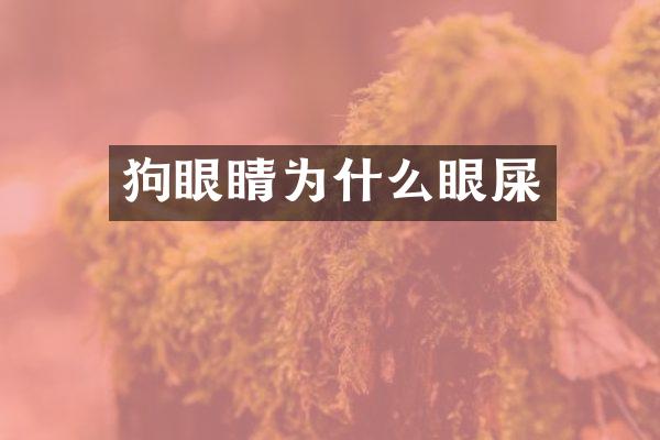 狗眼睛为什么眼屎