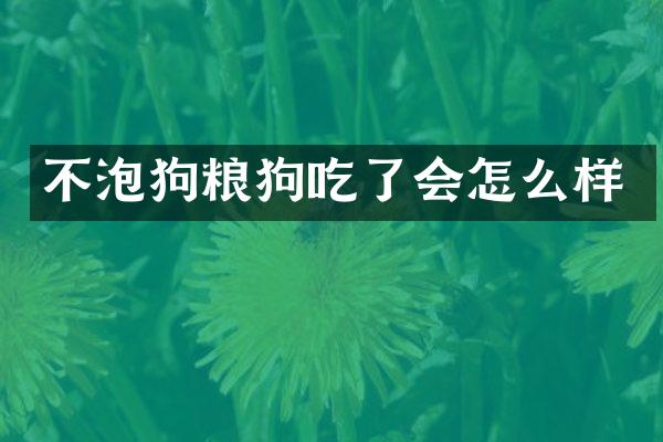 不泡狗粮狗吃了会怎么样