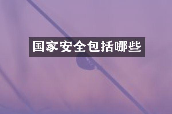 国家安全包括哪些