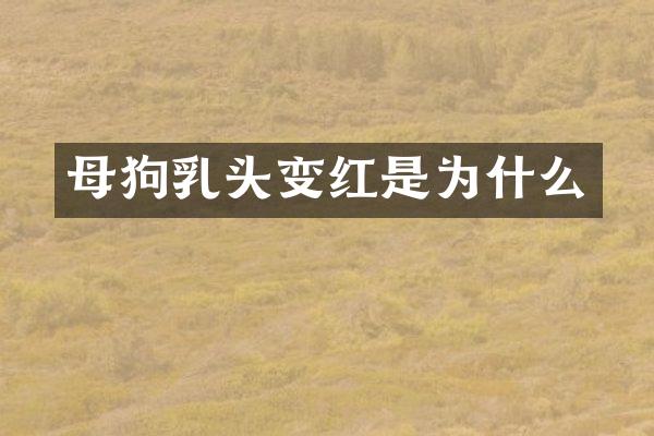 母狗乳头变红是为什么