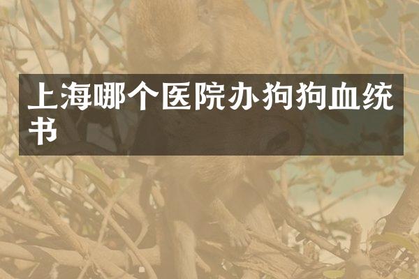 上海哪个医院办狗狗血统书