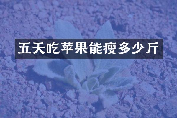 五天吃苹果能瘦多少斤
