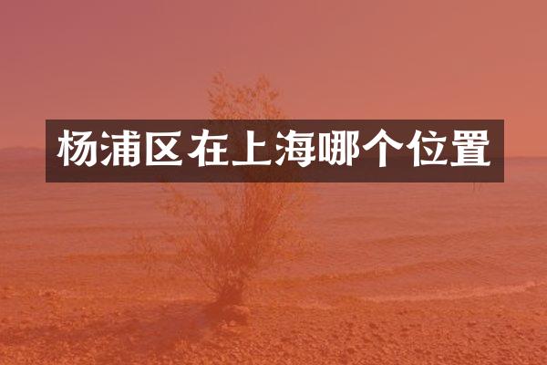 杨浦区在上海哪个位置