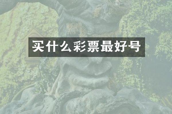 买什么彩票最好号