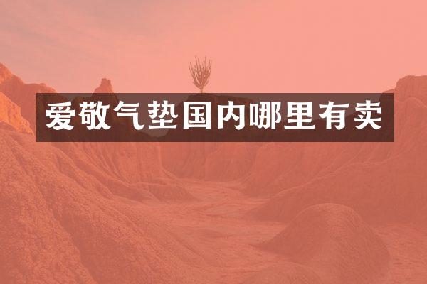 爱敬气垫国内哪里有卖