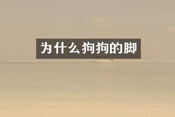 为什么狗狗的脚