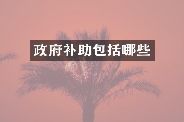 政府补助包括哪些