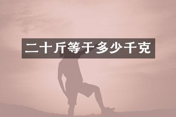 二十斤等于多少千克