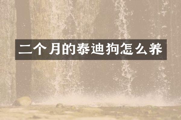 二个月的泰迪狗怎么养
